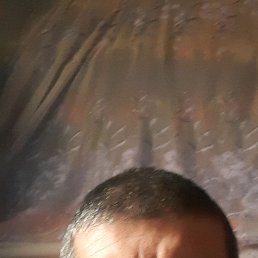 , 35, 
