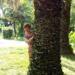 �����, �����������, 63 ����