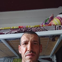 , 37, 