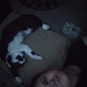 ���� �����, ������, 28 ��� - ��������� 8 ������ 2026
