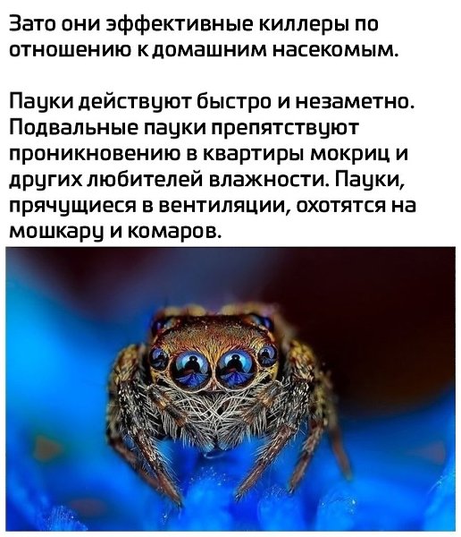    - 2