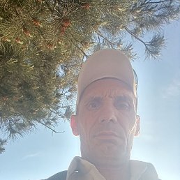 ������, �����, 45 ���