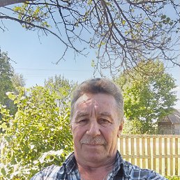 , 61, 