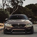 ���� ����, �����������, 37 ��� - ��������� 8 ������� 2026 � ������ ���� ����������