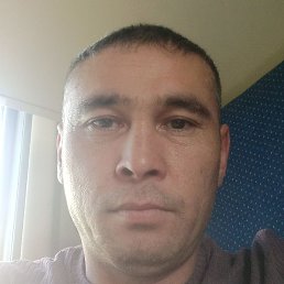 �����, ������, 40 ���