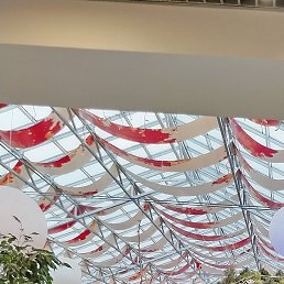 �������, ���������, 66 ���