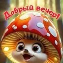 ���� ������, ��������� - ��������� 29 ������ 2025 � ������ ���� ����������