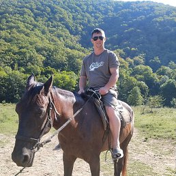 �������, ���������, 38 ���