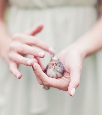 ����� �����, ��� �� �������: ����� ����� ���� ������� �����������, ���������� ��� ������������ � ...