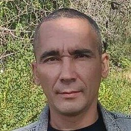 ��������, ����������, 38 ���