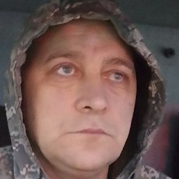 �������, ����, 39 ���