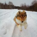 ���� ���, �����, 47 ��� - ��������� 16 ������� 2025 � ������ ���� ����������