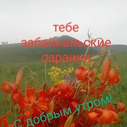 �����, 68 ���, ������