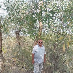 ���� ������, ������� - ��������� 5 ������ 2026