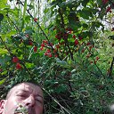 ���� ��������, �����������, 52 ���� - ��������� 9 ������� 2025 � ������ ���� ����������