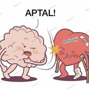 Daniel, 32 ����, ���������