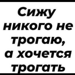 ���� ���������, ��������, 49 ��� - ��������� 22 ��� 2026