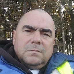 ��������, �����-���������, 49 ���