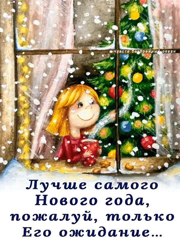  - 29  2024  13:56