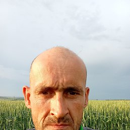 ���� ��������, ����, 41 ��� - ��������� 8 ���� 2025