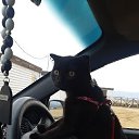 ���� ���, �������, 49 ��� - ��������� 28 ����� 2026