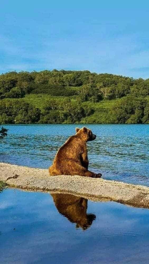 -,   ! ..!