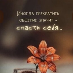 ���� �����, ����������� - ��������� 23 ���� 2026