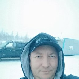 , 53,  