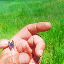 ���� ������, �������� - ��������� 20 ���� 2024 � ������ ���� ����������