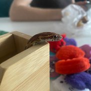 �������, 20 ���, ��������