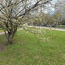 ���� �������, �����-���������, 63 ���� - ��������� 6 ��� 2025 � ������ ������ ��������