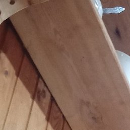 ������, �����-���������, 47 ���