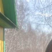 ������, 59 ���, ������������