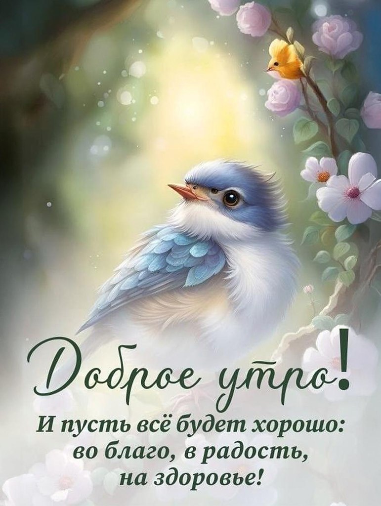   ,    . - 31  2025  07:35 - 4
