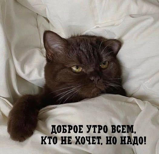 ��� ���� � ����� �� �� - 10 ���� 2026 � 07:25