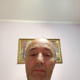 , 56, 