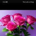 ���� ���� /�����������, ������-��-����, 58 ��� - ��������� 10 ��� 2026 � ������ ���� ����������