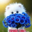 ���� ��������, �������� - ��������� 6 ������� 2025 � ������ ���� ����������