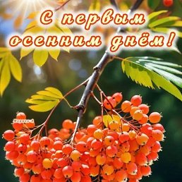 ���� �������, ���, 62 ���� - ��������� 1 �������� 2026