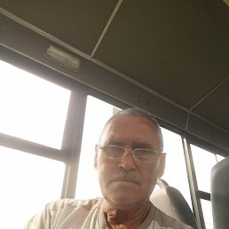 , 62, 