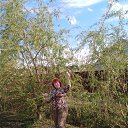 ���� �����, ������� - ��������� 3 ��� 2025 � ������ ���� ����������