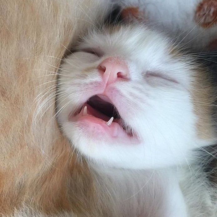     :3