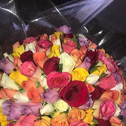 ���� �����, ��������, 47 ��� - ��������� 5 ������ 2026