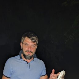, 37 , 