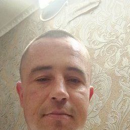 �����, 37 ���, ������