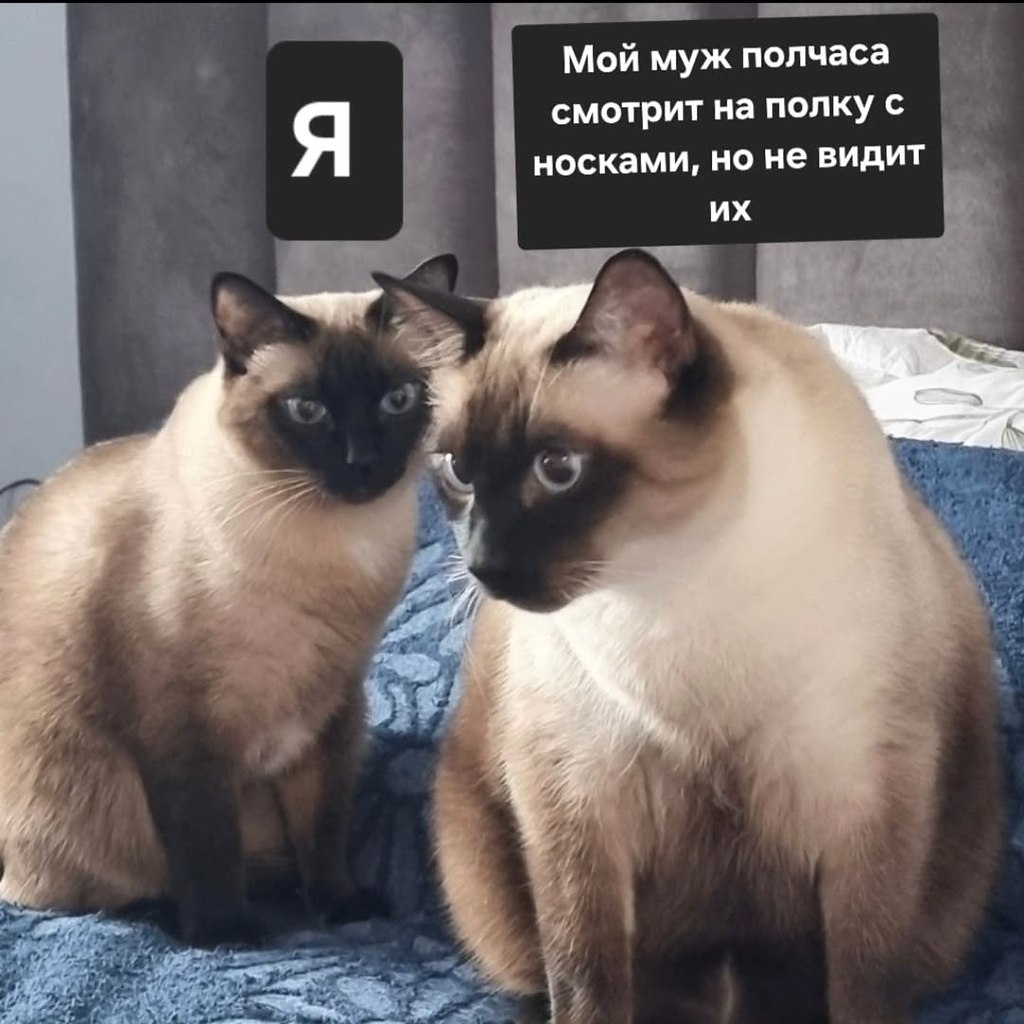 � ����... - 16 ������� 2026 � 21:28 - 3