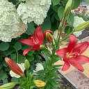 ���� ����, ��������, 65 ��� - ��������� 26 ���� 2025 � ������ �7�