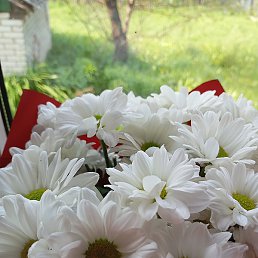 Tanjusha, �������, 43 ����