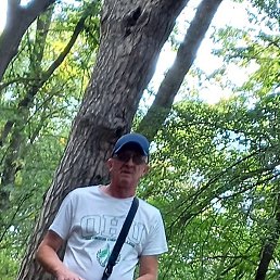 ����, �������, 60 ���