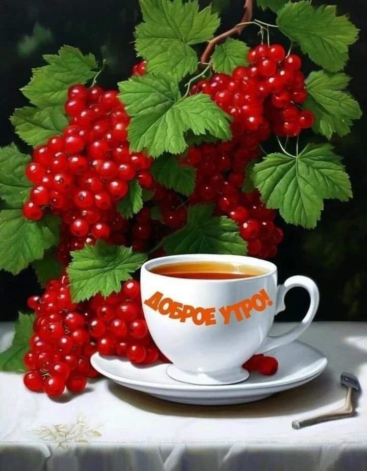 ***Victoria Viktorovna*** - 28  2024  01:32 - 2